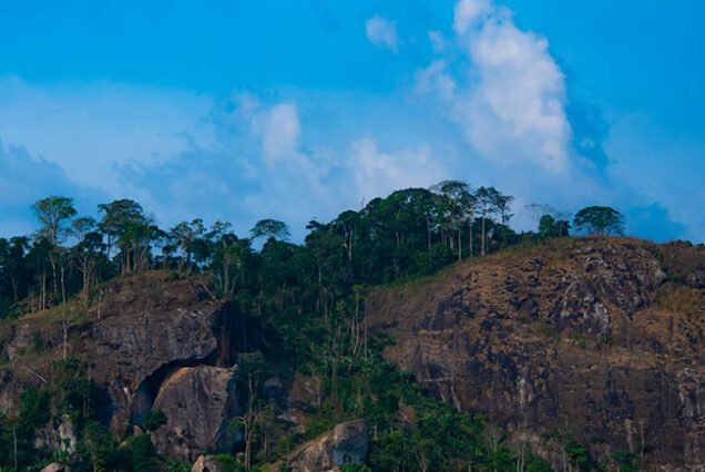 cameroon visa fees