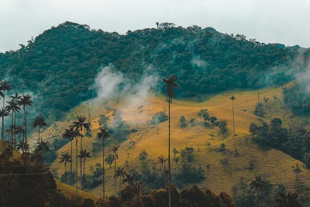 colombia visa application