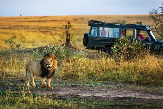 kenya visa application