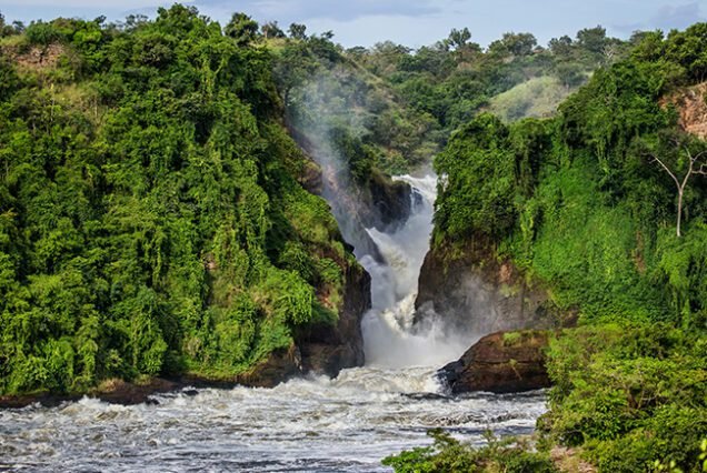 uganda visa fees