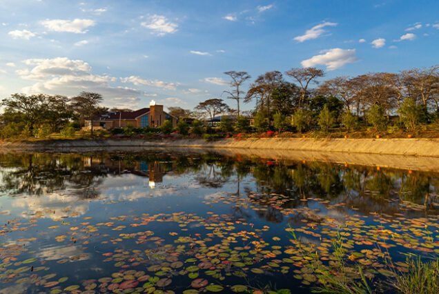zambia visa application