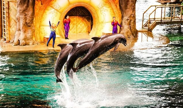SeaWorld Abu Dhabi
