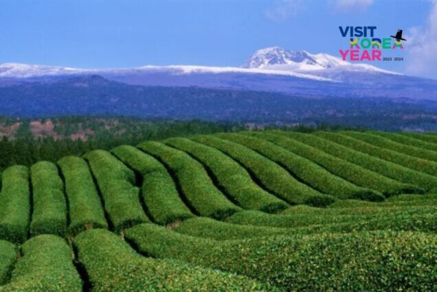 Korea Luxury Holiday Package from Dubai, UAE