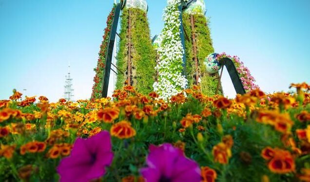 Butterfly Garden Dubai Entrance Ticket