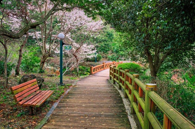 Olle Trails – Wander Through Nature Together