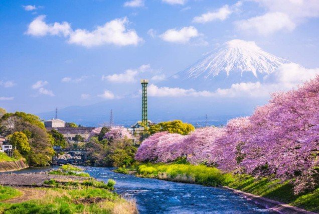 Cherry Blossom – Japan Travel Package from Dubai, UAE