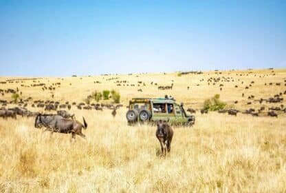 Kenya Tour Package from Dubai, UAE