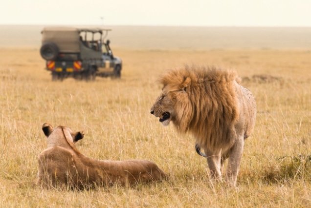 Kenya Tour Package from Dubai, UAE