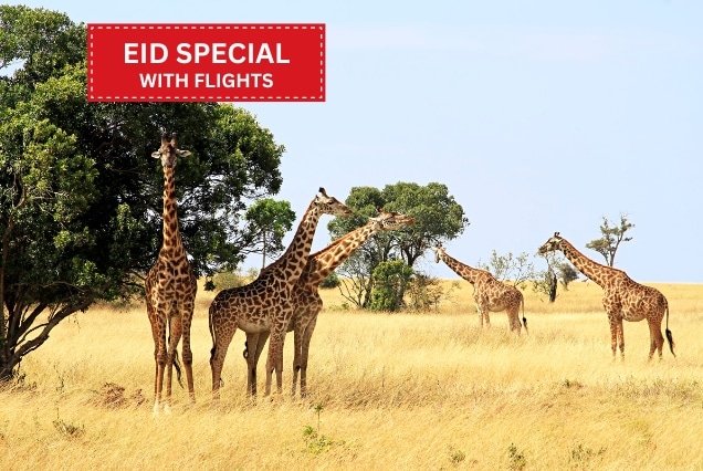 A herd of giraffes in the Kenyan savanna, featuring an Eid Special holiday package with flights from Dubai.